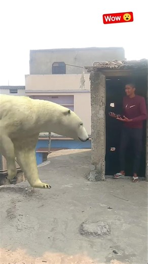 yarr Tera hero khalnayak hogya Ghar me SE nikla animals magic video #funny #mmmrazz #shorts #vfx