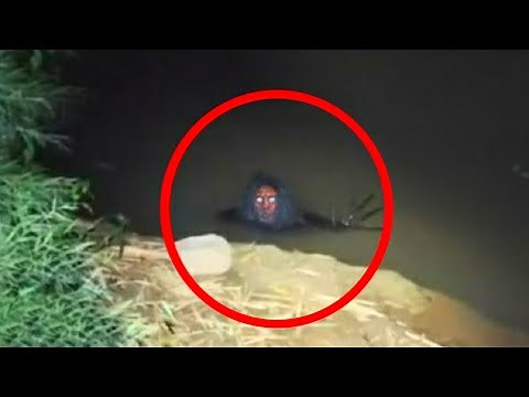 15 Scary Videos Currently Terrifying Viewers