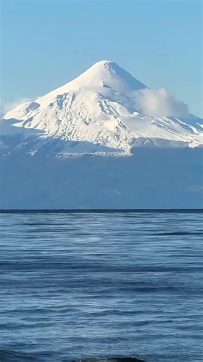 سعد العتيق #حسن_الخلق #خواطر #اكسبلور #ماشاءالله #ترند#الحيوانات_الأليفة @@MSH-SH@@AKOAL-d8t@Al-Zawa