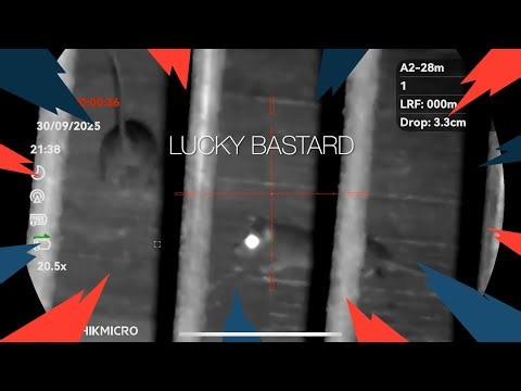 Farm Ratting with Airgun | 15 Rats in 2,5 Hours | Night Vision Pest Control