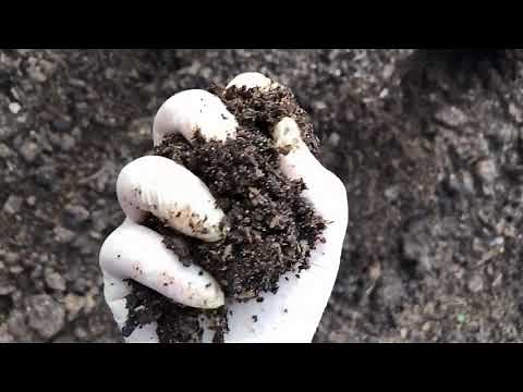 Constructing a Horse Carcass Compost Pile