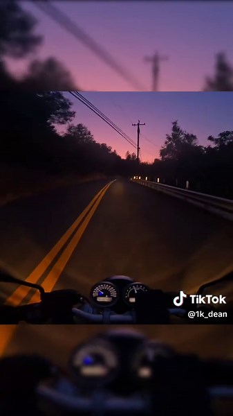 How to Safely Encounter Wildlife on a Motorbike