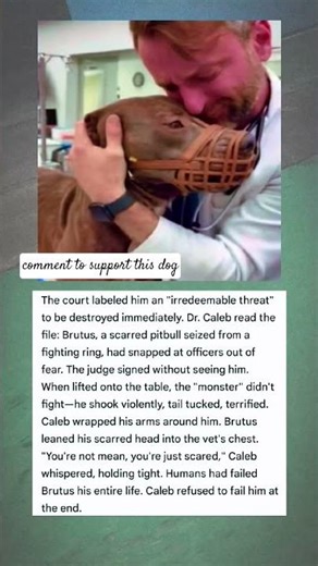 Humans had failed Brutus his entire life. Caleb refused to fail him at the end #shorts #mrsomad123