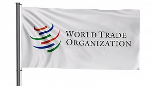 World Trade Organization Flag Stock Footage - Video of mask, mate: 258708300