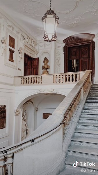 camera roll filters!! on TikTok