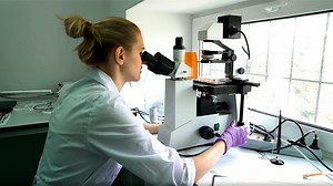 5 unique labs from the Peter the Great St. Petersburg Polytechnic University