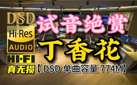 试音绝赏，发烧靓声！《丁香花》DSD完整版，单曲容量774M【30万首精选真正DSD无损HIFI音乐，百万调音师制作】