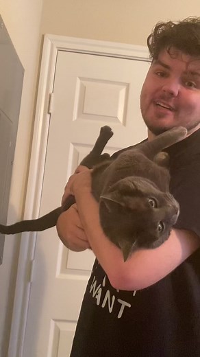 Cat owners, listen up. #cats #catsoftiktok #cat #trending #fypシ #pets #petsoftiktok