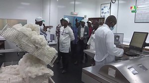 Le Ministre Serge Poda en charge du Développement Industriel visite le complexe Bobo 3 de la SOFITEX | RTB