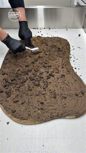 Deep Cleaning an Extremely Dirty Rug | Satisfying ASMR