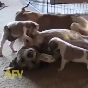 2.3K views · 48 reactions | Wait for it... | Best Vines | Facebook