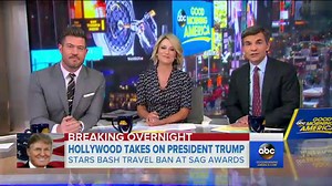 Stars Get Political at 2017 SAG Awards