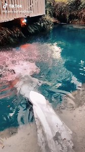 Underwater Trash the Dress Wedding Photoshoot