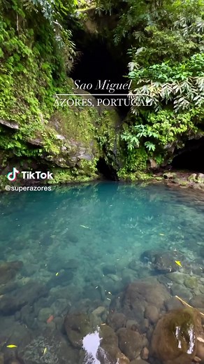 Exploring the Enchanting Beauty of São Miguel, Azores, Portugal