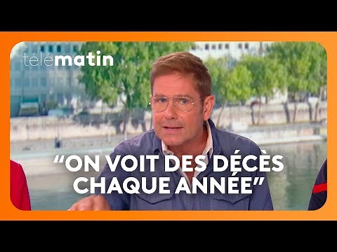 Que faire en cas de morsure d’un chien ?