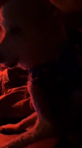 Bring back firehouse dogs! Jobs 🤝 Dogs | Back of the Bay