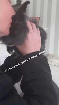 angels among us / a beautiful capture