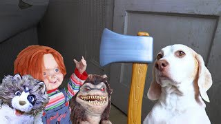 World's Cutest Assassin: Funny Dog Maymo Fight Scene Compilation