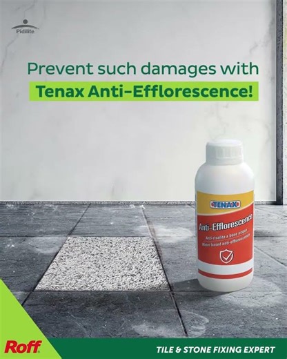 Tenax Anti Efflorescence | Available on IndiaMART