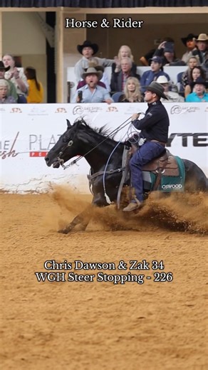 Wait… we’ve seen this before 🤔 Chris Dawson and Zak 34 top the steer stoping AGAIN in the World’s Greatest Horseman Finals—this time with a 226. Dawson has a composite of 442 on 2 events, putting himself squarely in the mix for 2 more to go. Classic Equine is keeping these equine athletes protected as well as bringing you this coverage-so shoot them a “thanks!” 👋🏻 | Horse & Rider Magazine