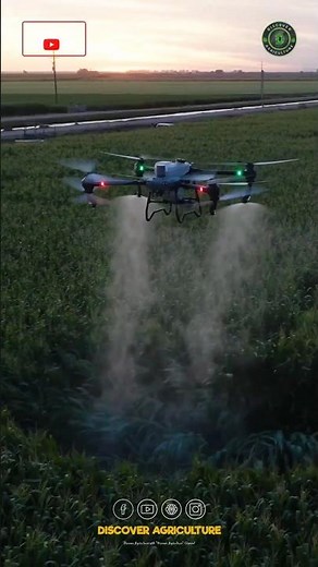 Amazing Agriculture Drone Sprayer Machine