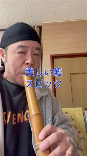 美しい鰭
