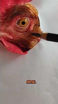 Hyperrealistic drawing 😱🎨 #hyperrealism #hen #dogs #drawing #art