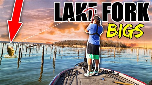 Bass found in thick cover on Lake Fork during spring fishing
