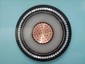 [Hot Item] Low Voltage Copper Conductor PVC Insulated Aluminium Tape Armored Cable