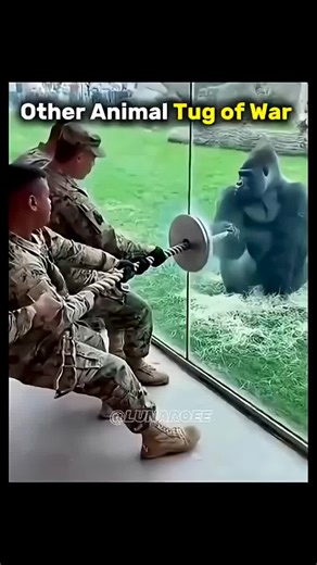 #Film #Movie #Cinema #FilmScene #MovieScene #FilmLover #MovieLover #FilmTime #MovieVibes