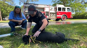 1M views · 15K reactions | On Wednesday, April 16, 2025, our units...