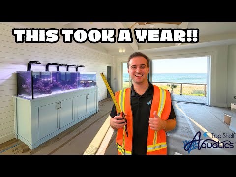 INSTALLING THE MOST COMPLEX AQUARIUM OF MY LIFE!!