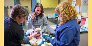 Dispelling misconceptions