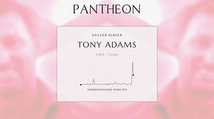 Tony Adams Biography | Pantheon