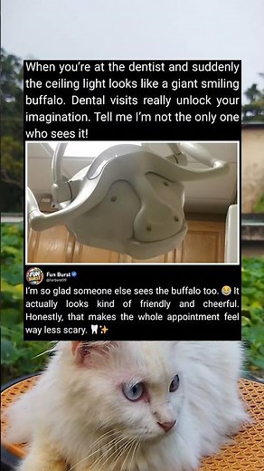 Dentist Ceiling Light Looks Like a Smiling Buffalo