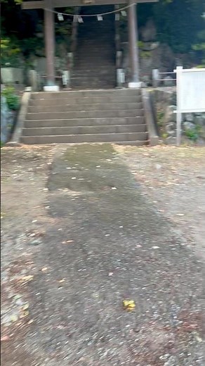 【八幡神社(山北町岸)】楠の大木と歴史を感じる山北町の神社⛩#shorts