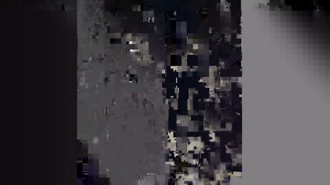 The Strange and Disgusting History of Rat Kings