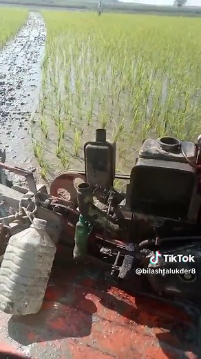 Tilling Rice Paddy Fields: A Modern Agricultural Technique