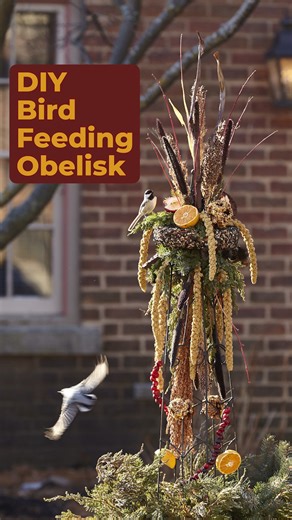 4.3K views · 56 reactions | DIY Bird-Feeding Obelisk Project: Keep...