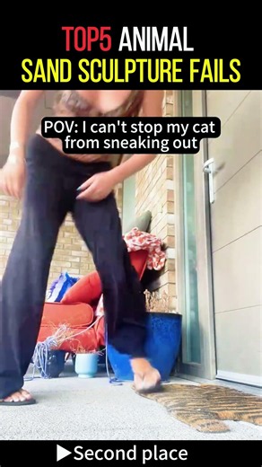 #pov #top5 #funnyanimals #petfails #viralpets #petlovers #shorts #viralshorts