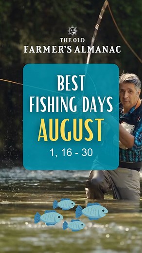 When's the best time to catch some fish? Use our Best Fishing Days Calendar to help plan your fishing trip, and hopefully find better success! Almanac.com/best-fishing | The Old Farmers Almanac