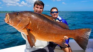 GIANT Cubera Snapper on a popper! A once in a lifetime fish for any fishermen! Panafishing Adventure | Landshark Outdoors