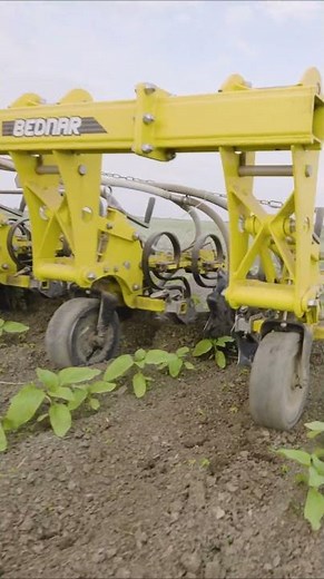 ROW-MASTER inter-row cultivator