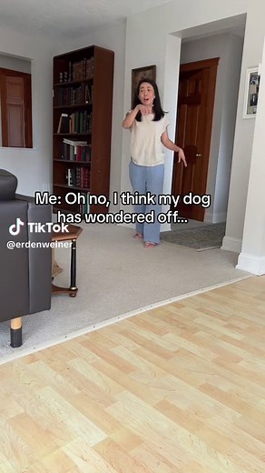 Track Your Pets with Life360 and Tile Integration