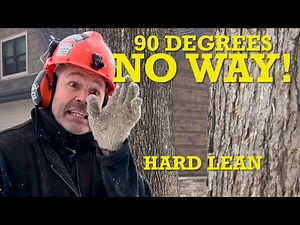 How to cut a tree down, off it’s lean.