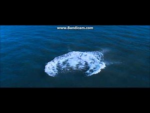 Awesome Movie Falling Deaths Part 2