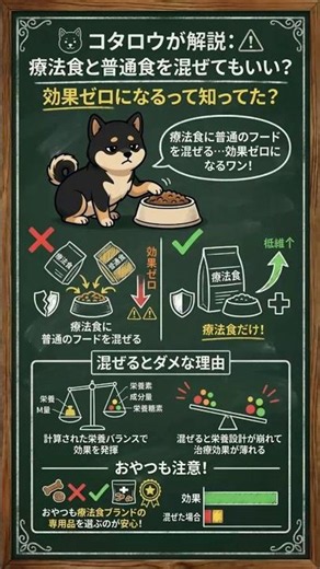 療法食と普通食、混ぜてもいい？犬のフードで注意すること