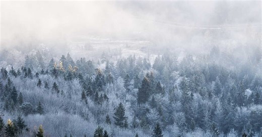 Comment attrape-t-on froid ?