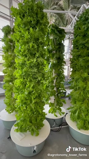 Exploring Aeroponic Tower Farming for Urban Agriculture