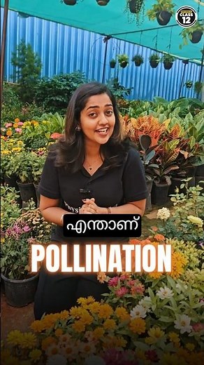 what is pollination ? #biology #pollination #flowers